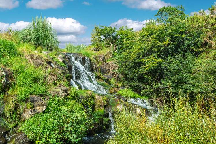 76 Geraghtys Road Tuakau_15