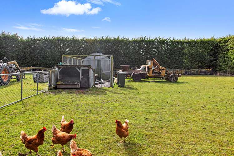 843 Mandeville Kingston Crossing Road Riversdale_29