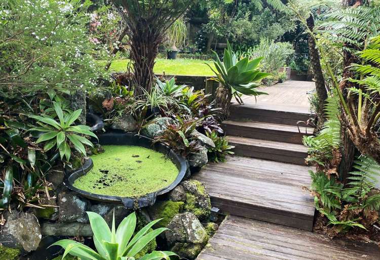 1 Stitchbird Close Murrays Bay_19