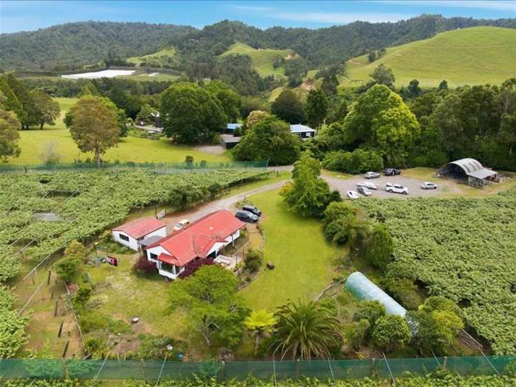 1399A No. 3 Road Te Puke_7