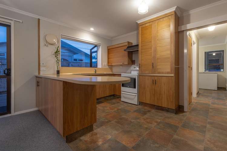 50 Winchester Street Levin_4