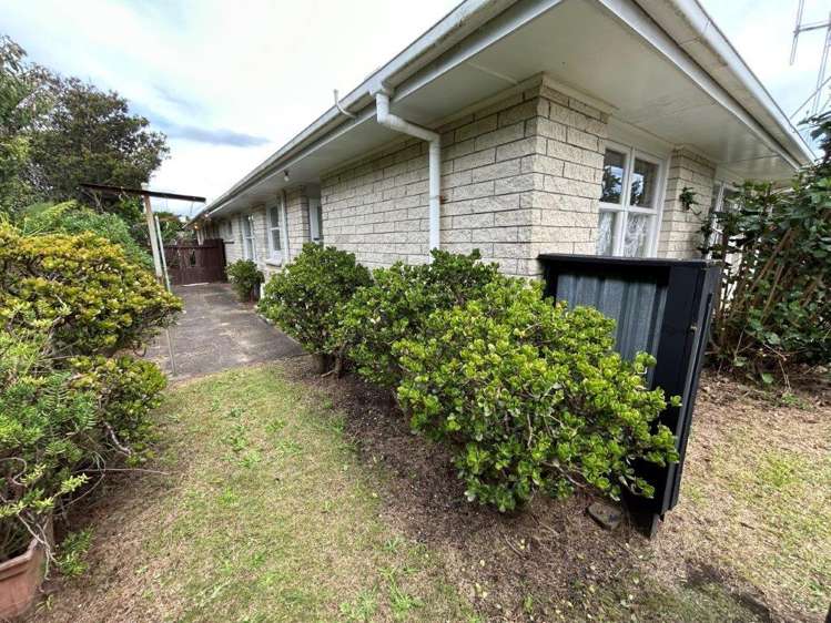16 Maranui Street 11229_12