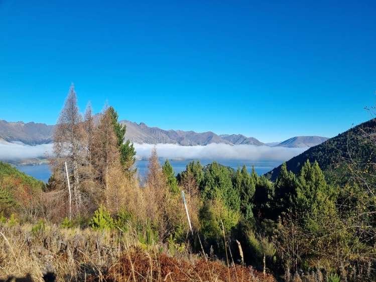 103 Alpine Retreat Road Ben Lomond_21