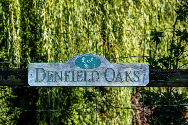 39 Orari Back Road Geraldine_24