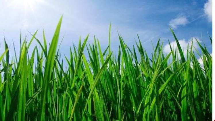 110 Isabella Drive Pukekohe_6