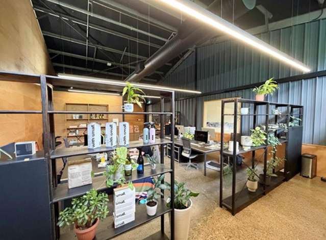 18 Westmoreland Street Grey Lynn_3