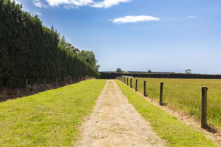 256 Beatties Road Ashley_7