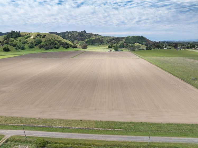 Whitmore Road Ormond_10