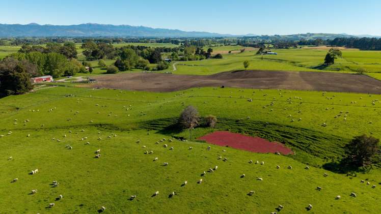 1572 Ponatahi Road Carterton_3