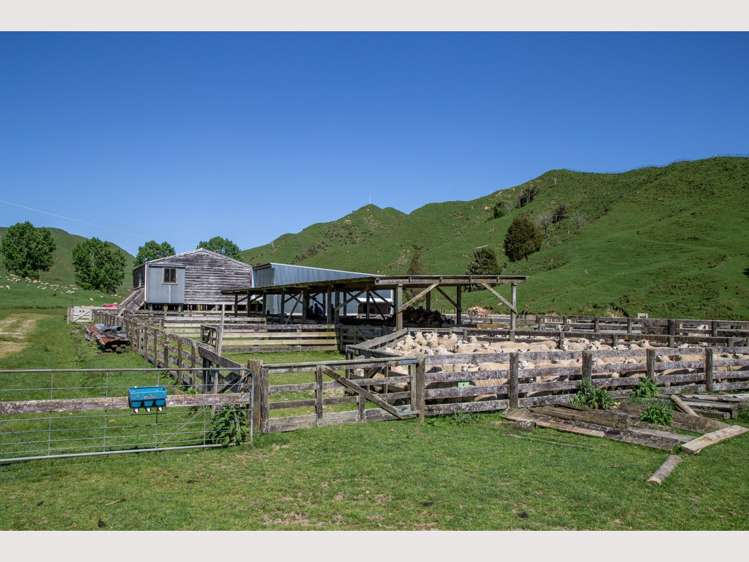 314 Kawautahi Road Owhango_6