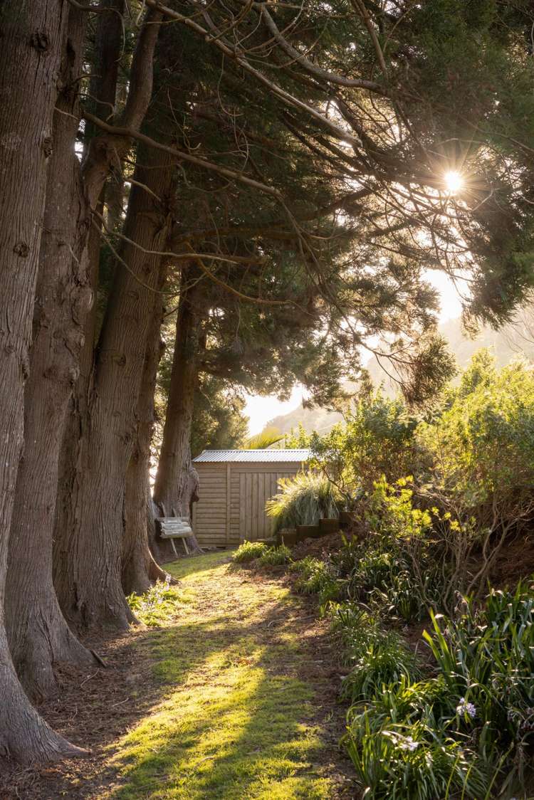 115 Ngatitangata Rd Waihi_27