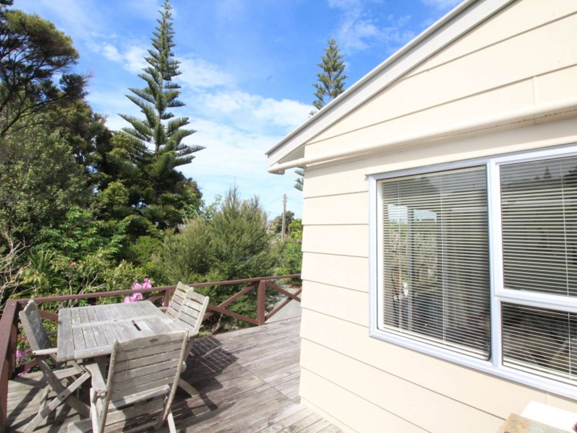 315 Molesworth Drive Mangawhai Heads Kaipara Houses for Sale