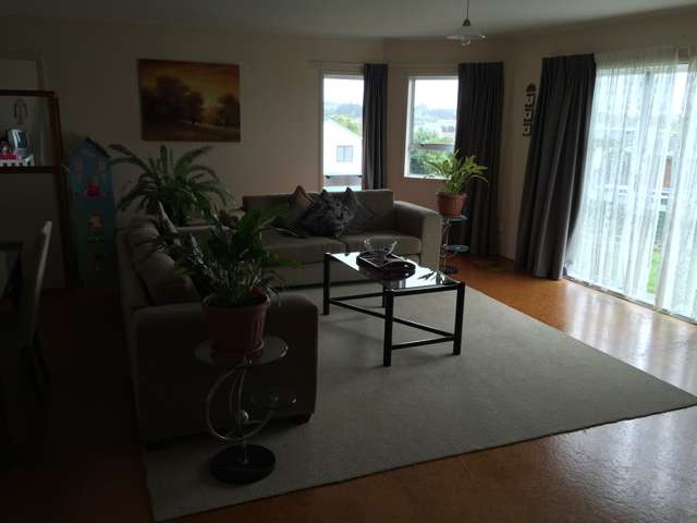 3 Hawke Place Pukekohe_2