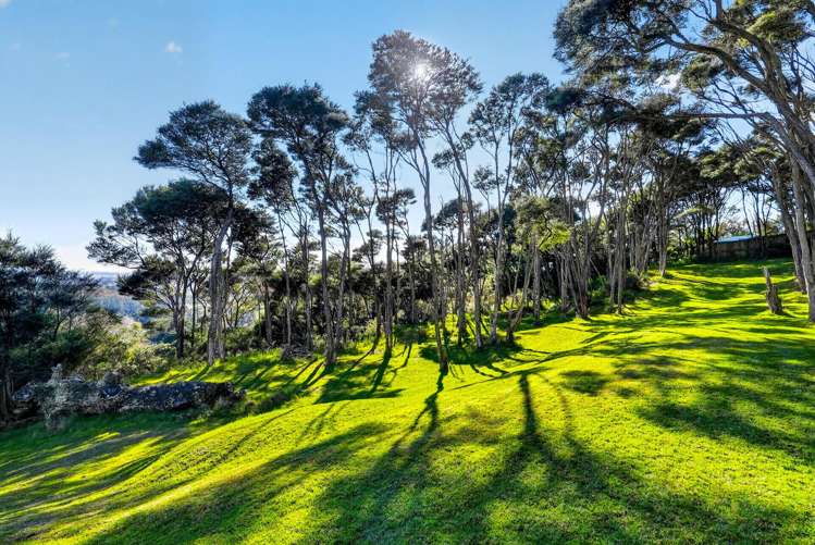 397 Wishart Road Helensville_24