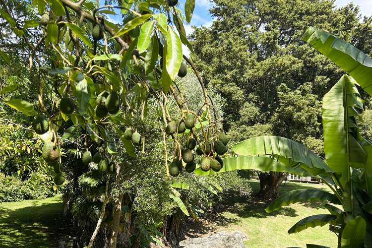 407 Hamama Road Takaka_20