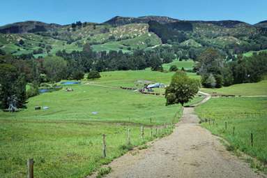 108 Sandy Creek Road_2