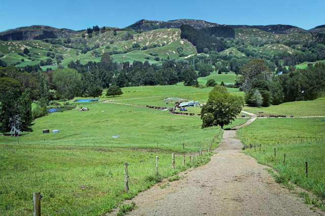 108 Sandy Creek Road Tutira_2