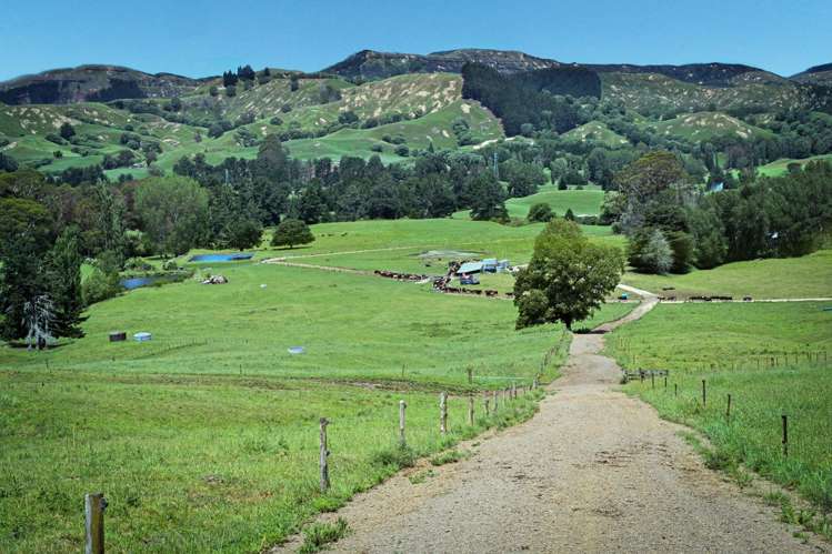 108 Sandy Creek Road Tutira_2