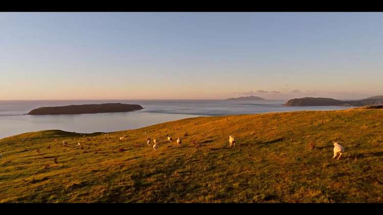 Pikarere Farm Porirua_2