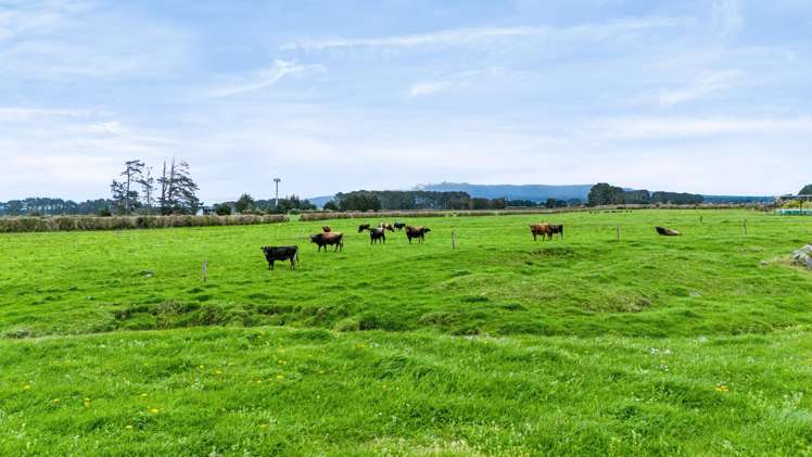 1332 Eltham Road Kaponga_3