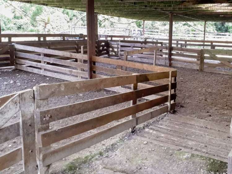 592 Waitewhena Road Ohura_16