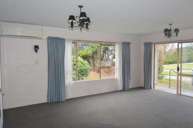319a Thames Street Morrinsville_2