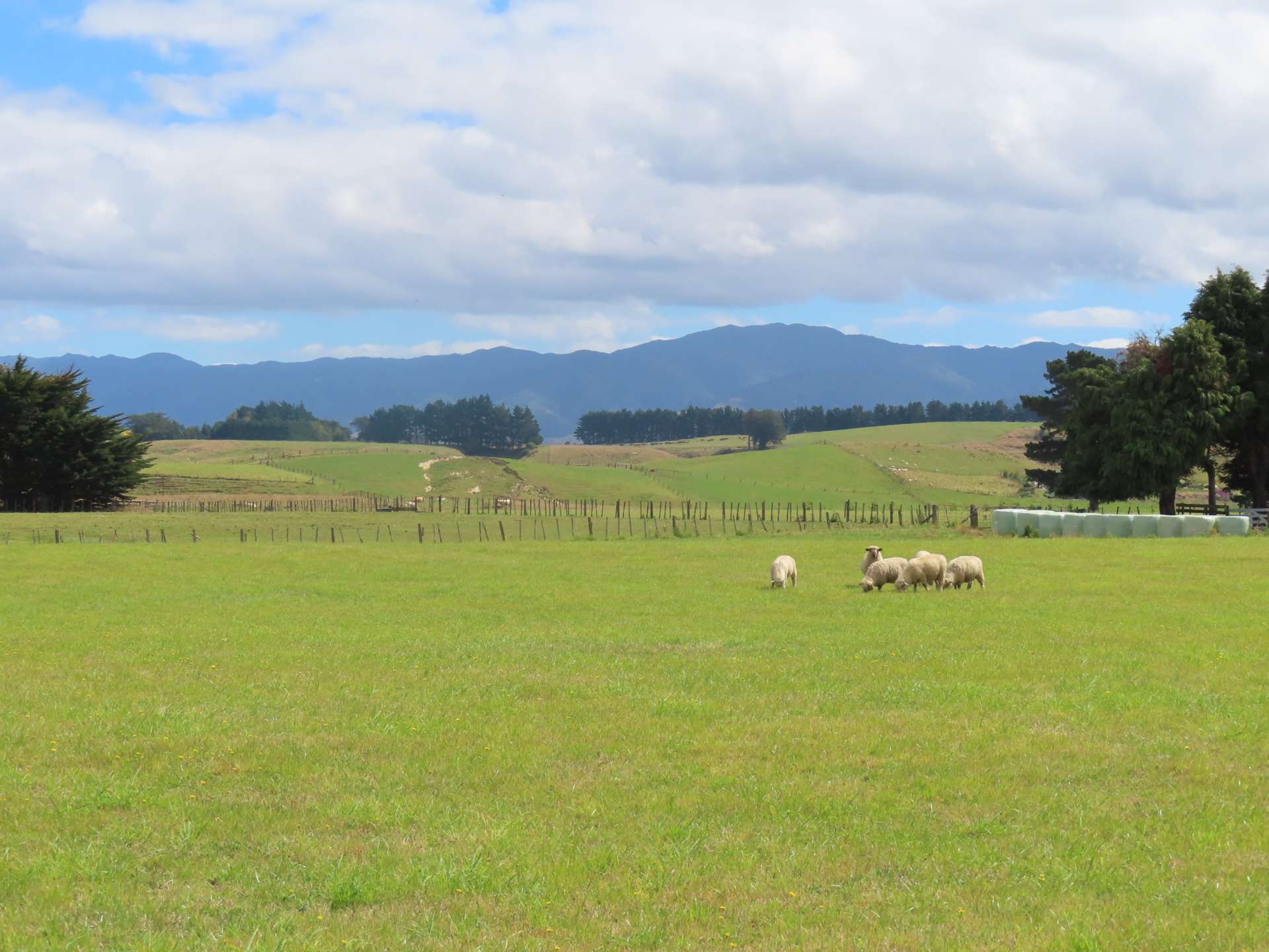 101 Umutaoroa Road Dannevirke_0