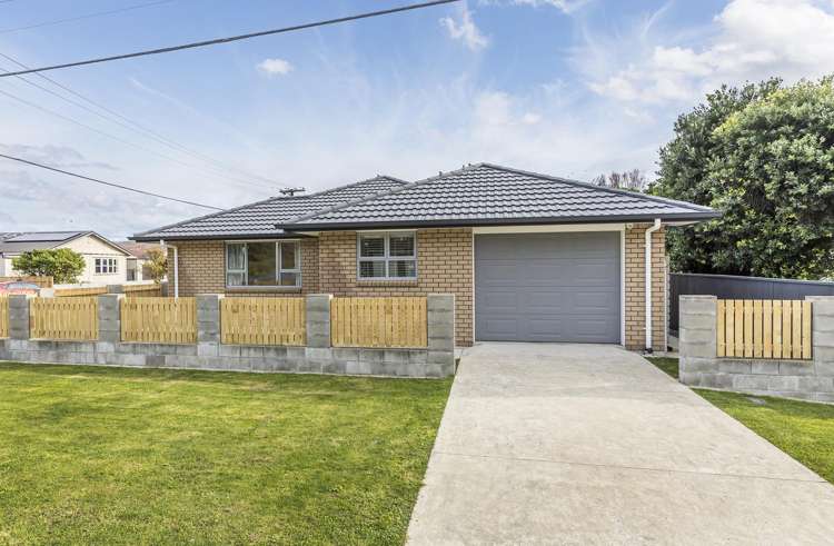 83 Devonshire Road Miramar_12