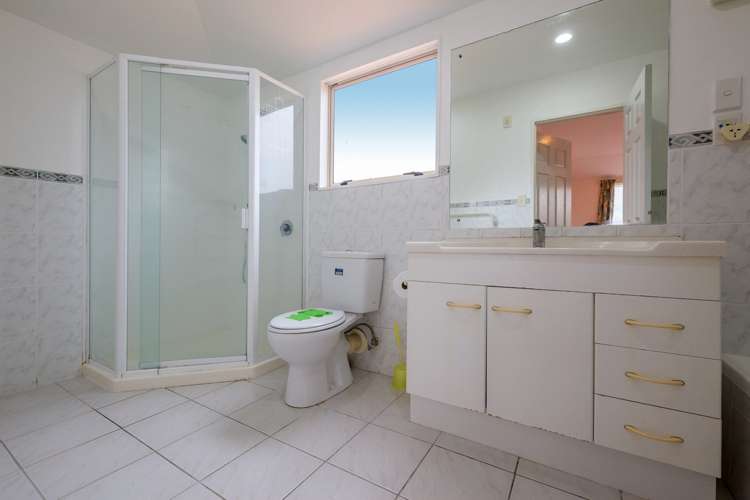 36a Somerset Road Mount Roskill_9