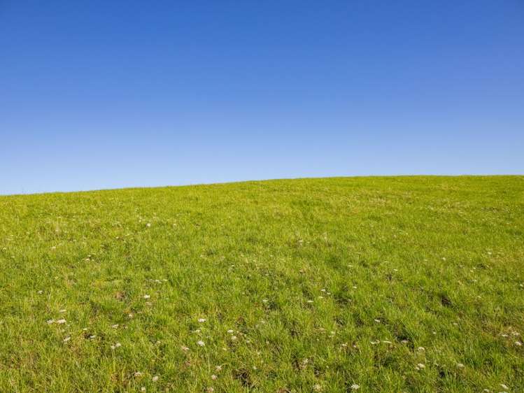 450a Settlement Road Kaiwaka_18