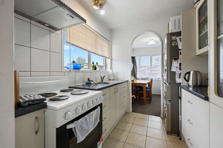 167a Galloway Street Hamilton East_4