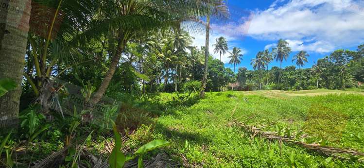 Address withheld Pacific Harbour_10