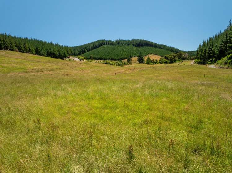 240 Teapot Valley Road Brightwater_23