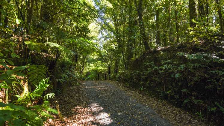 717 Te Waerenga Road Hamurana_15