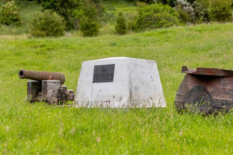 Kakapo Bay Port Underwood_6
