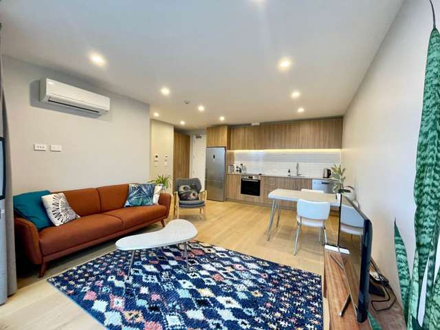 209/9 Walmer Road Point Chevalier_3