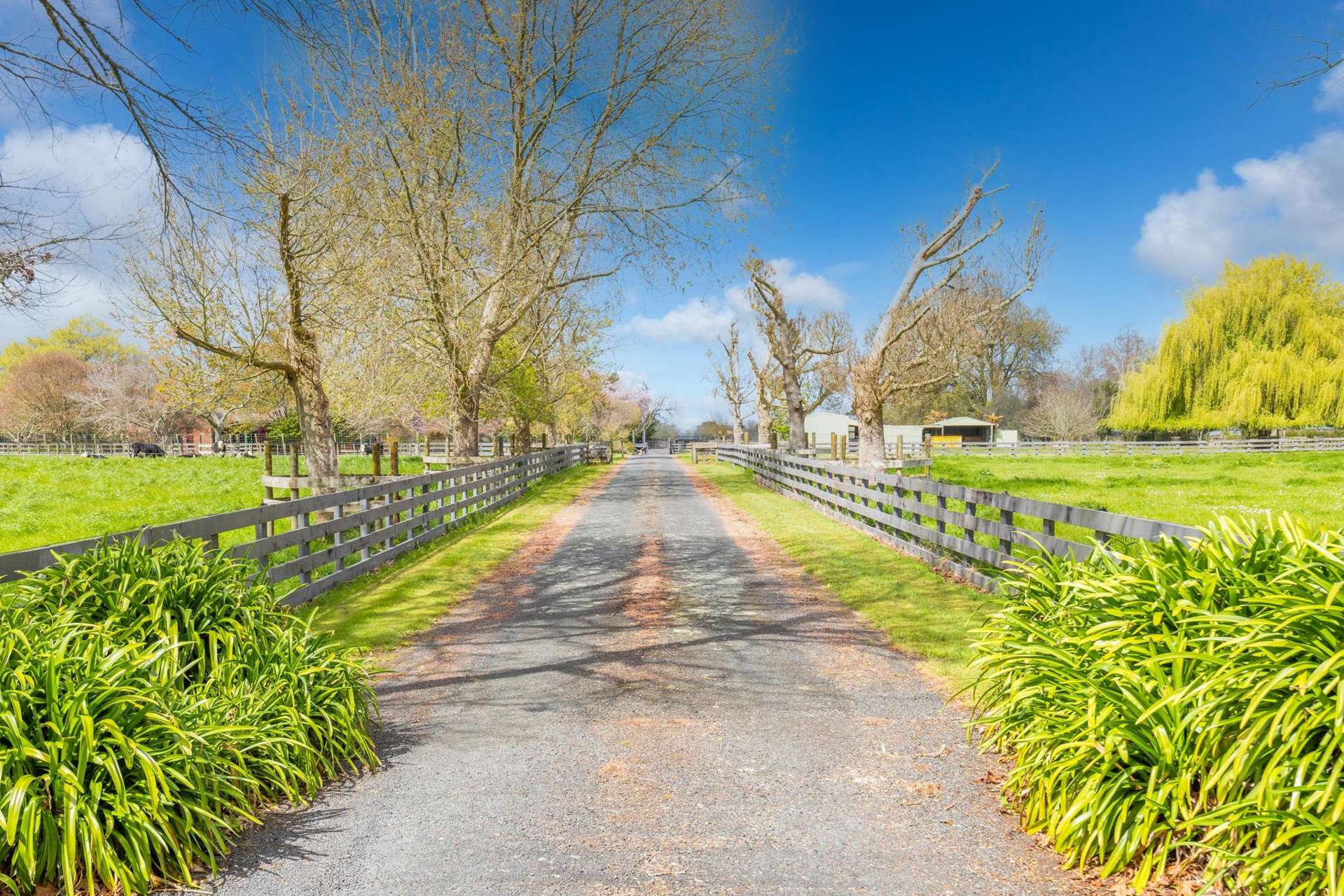 256 Kaipaki Road Ohaupo_0