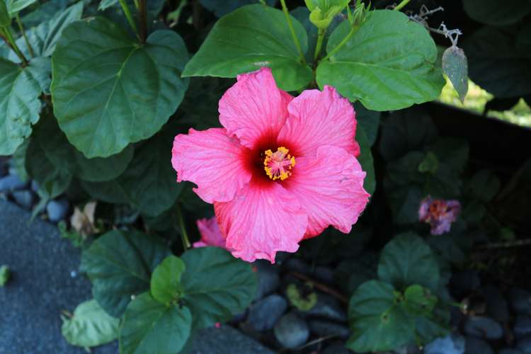 5 Kingswood Place Langs Beach_16