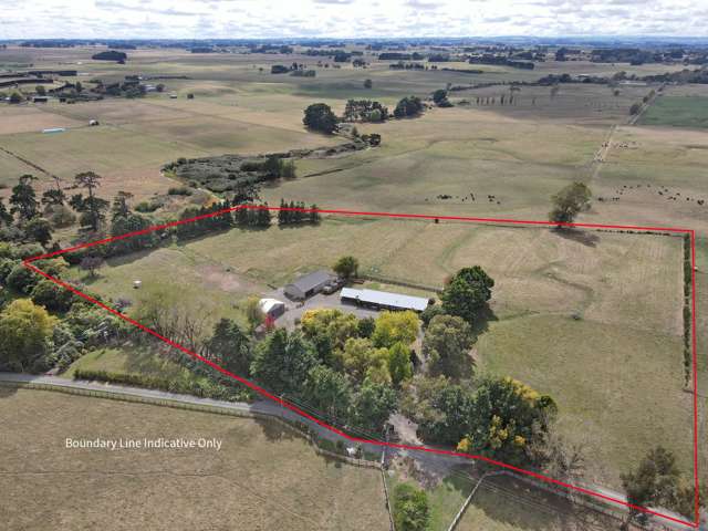 455b State Highway 1 Bulls_4