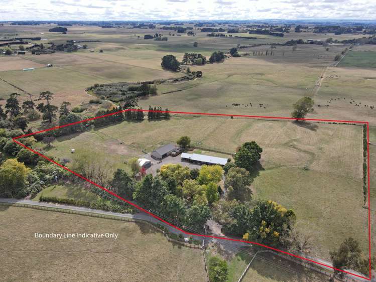 455b State Highway 1 Bulls_4