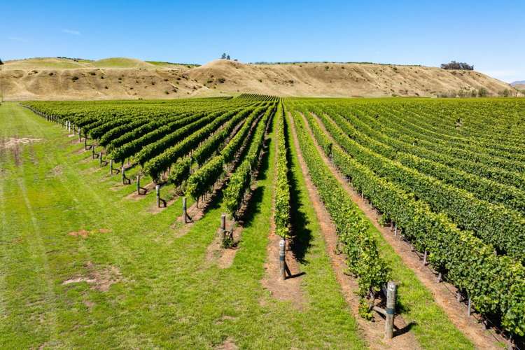 Seaview Road Seddon_12