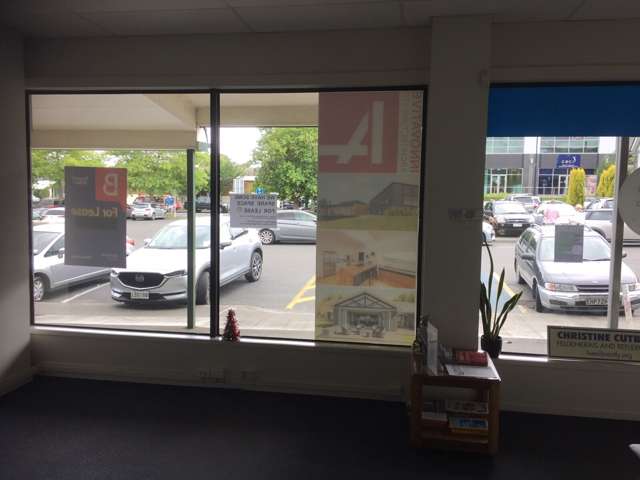 4 Treachers Lane Havelock North_1