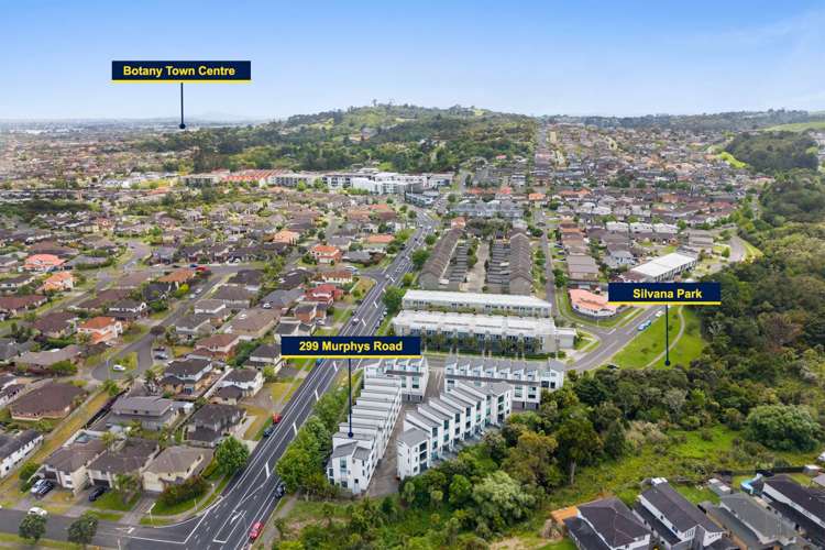 299 Murphys Road Flat Bush_21