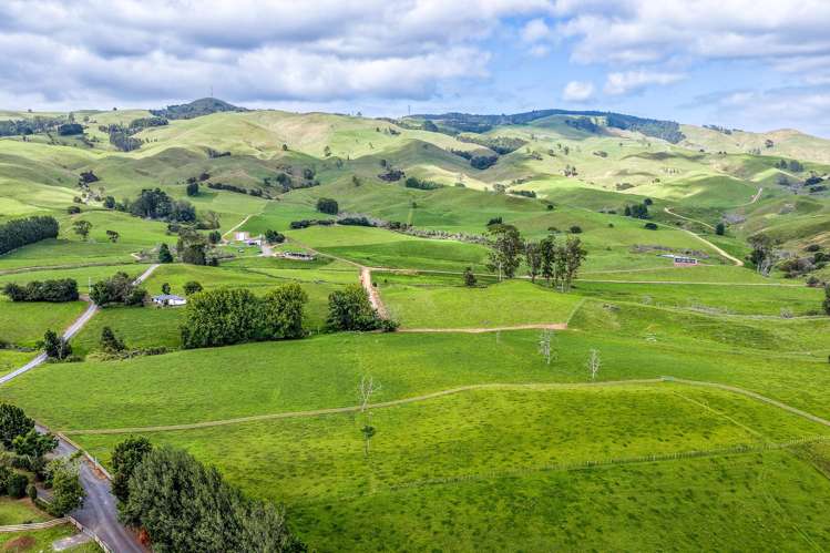 70B Manion Lane Morrinsville_7