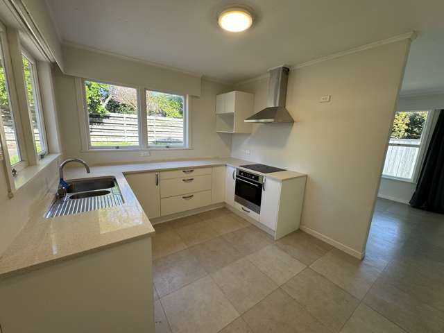 29B Yattendon Street St Heliers_4