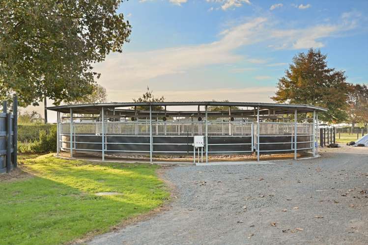 505 Bruntwood Road Tamahere_42