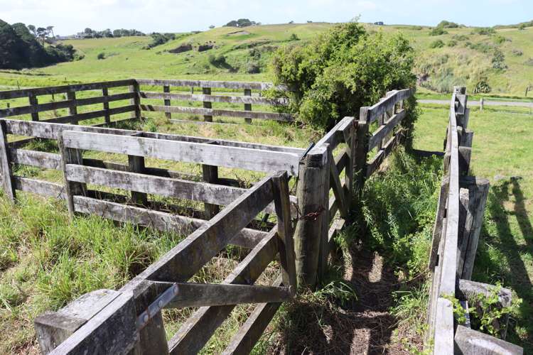 3979 South Road Opunake_6