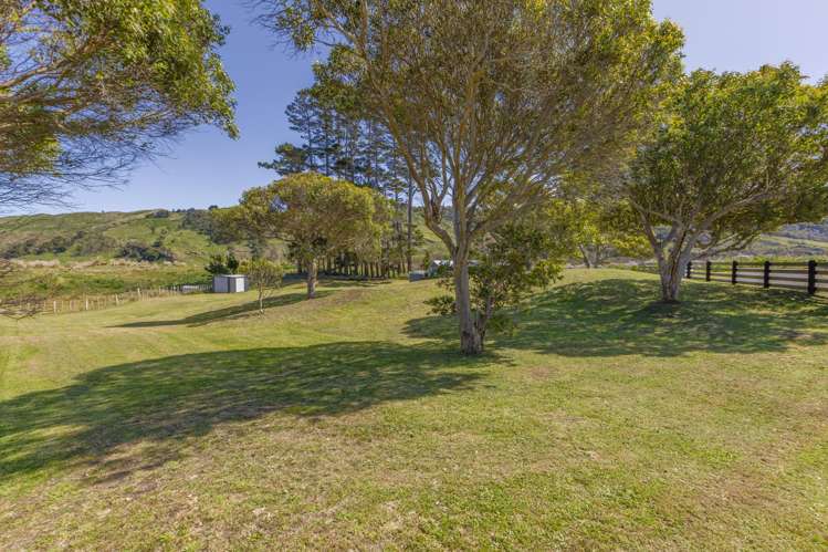 3/33 Pukenui Drive Mahanga_17