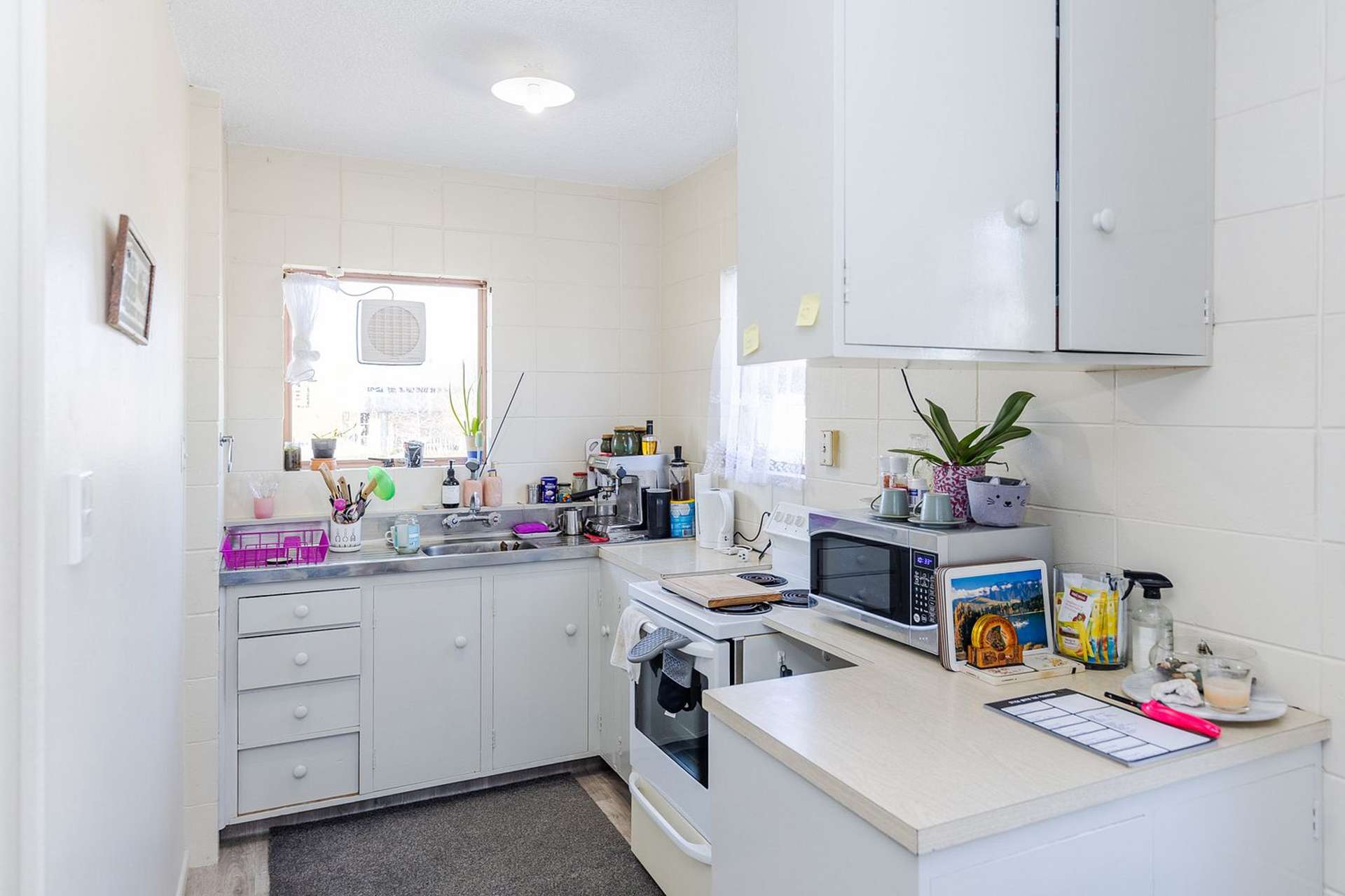 4/139B Ulster Street Whitiora_0