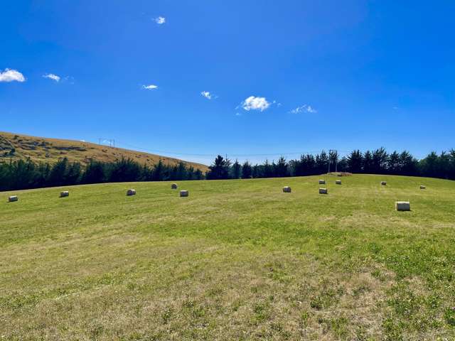 Paddock, Forest and Stream.